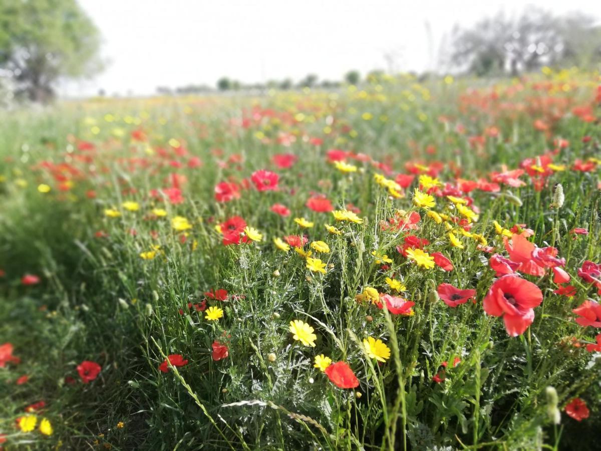 Agriturismo Fondo Paliemmu Модика Экстерьер фото
